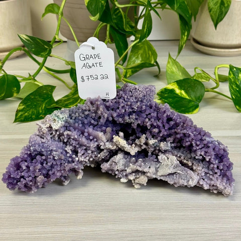 Galaxy Grape Agate H 8 - Kenna's Crystals from TikTok