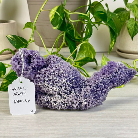 Galaxy Grape Agate M 13 - Kenna's Crystals from TikTok