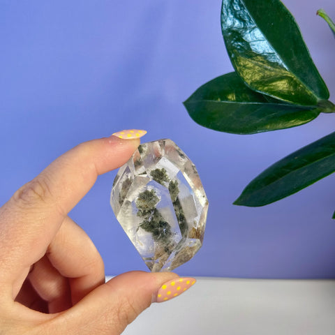 Hand holding a clear Garden Quartz free form with green mineral inclusions, against a purple background and green plant.
