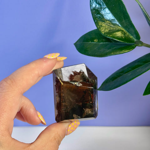 Hand holding a dark brown Garden Quartz Free Form with green inclusions against a purple background.