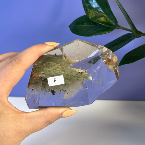 Hand holding a clear Garden Quartz free form crystal with green inclusions and a "F" label.