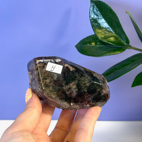 Dark green and brown Garden Quartz Free Form crystal, variant H, held in hand.