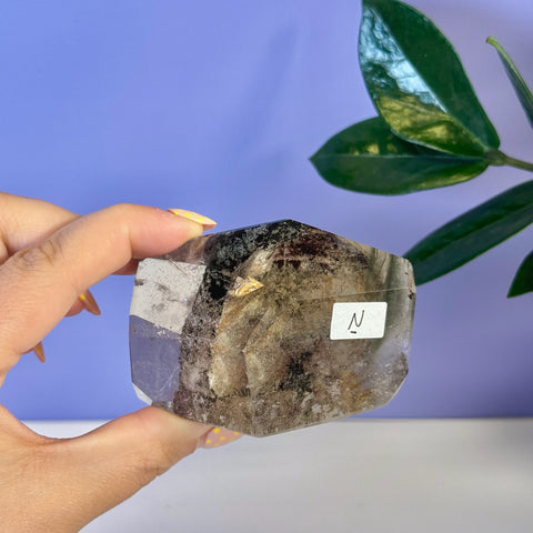 Hand holding a Garden Quartz Free Form crystal, clear with dark inclusions and a white "N" label.