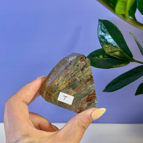 Hand holding a unique Garden Quartz Free Form (T) with green, brown, and red inclusions.