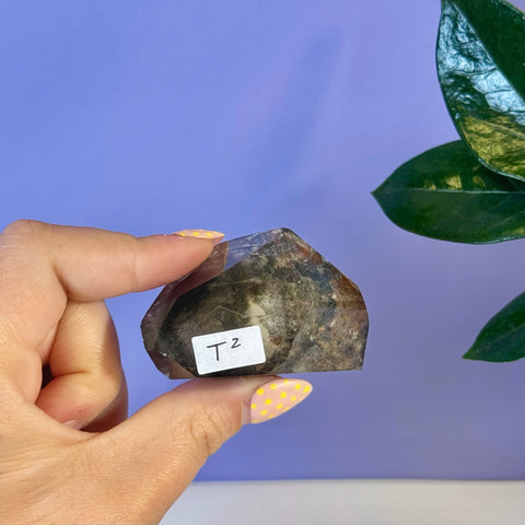 Garden Quartz Free Form, T2 variant, held in hand, showcasing dark green and brown inclusions.