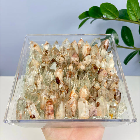 Ghoul Garden Quartz - Kenna's Crystals