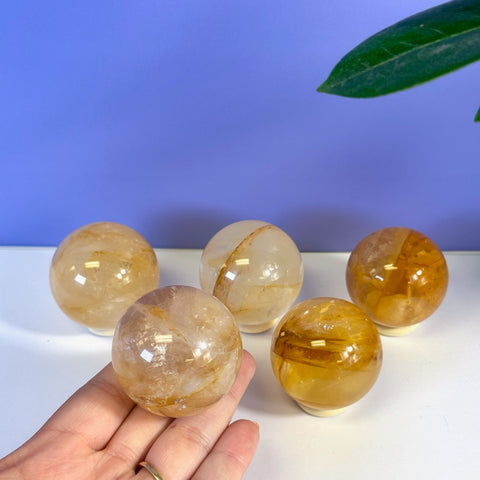 Hand holding a translucent golden healer girasol quartz sphere, with four more spheres on a white surface.