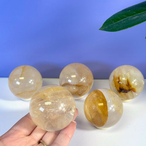 Hand holding a translucent Girasol Golden Healer sphere with warm yellow and brown inclusions. Four more spheres are visible.