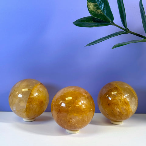 Three polished Girasol Golden Healer spheres with warm yellow and orange tones on a white surface.