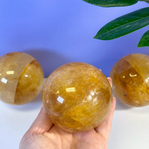 Hand holding a polished Girasol Golden Healer sphere with two more in the background.