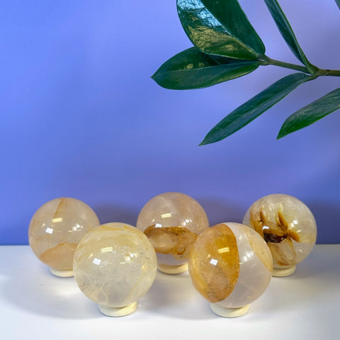 Five Girasol Golden Healer spheres with clear and golden-brown inclusions on white stands.