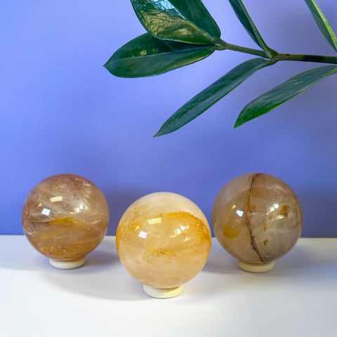 Three Girasol Golden Healer spheres, varying in warm yellow and brown tones, on white stands.