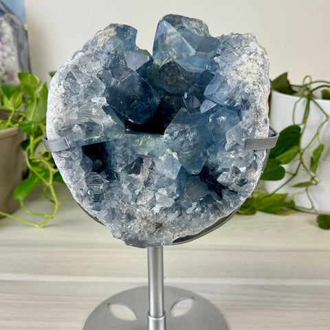 Glacier Blue Celestite Geode (W/ Custom Stand) C 2 - Kenna's Crystals from TikTok