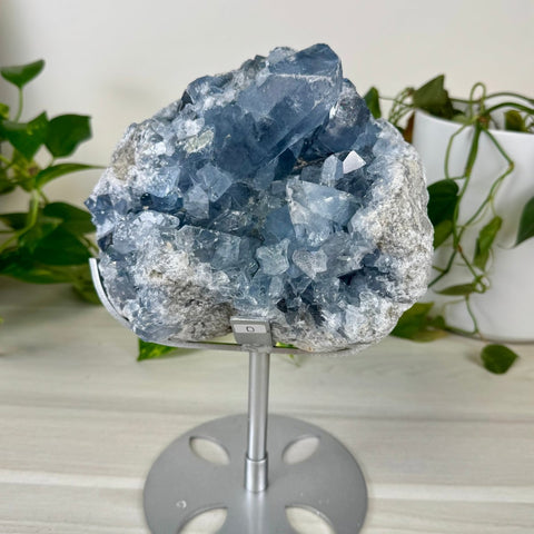 Glacier Blue Celestite Geode (W/ Custom Stand) D 5 - Kenna's Crystals from TikTok