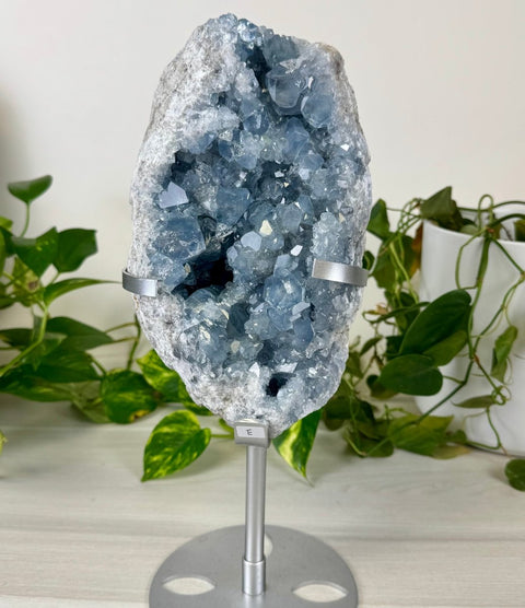 Glacier Blue Celestite Geode (W/ Custom Stand) E 6 - Kenna's Crystals from TikTok