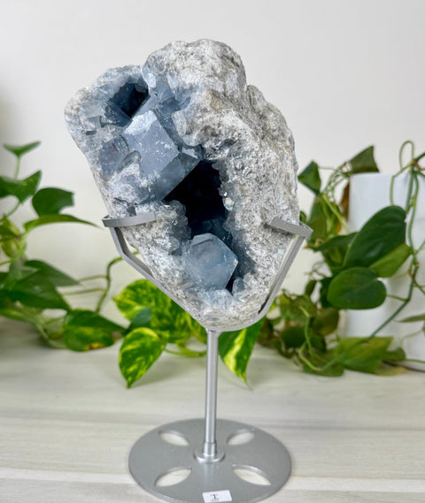 Glacier Blue Celestite Geode (W/ Custom Stand) I 9 - Kenna's Crystals from TikTok