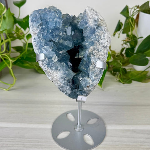 Glacier Blue Celestite Geode (W/ Custom Stand) J 10 - Kenna's Crystals from TikTok