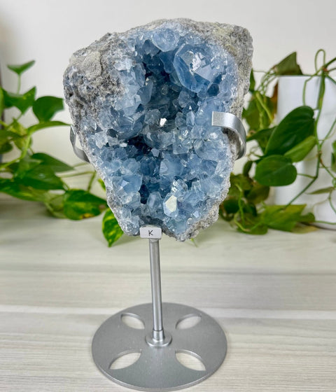 Glacier Blue Celestite Geode (W/ Custom Stand) K 11 - Kenna's Crystals from TikTok