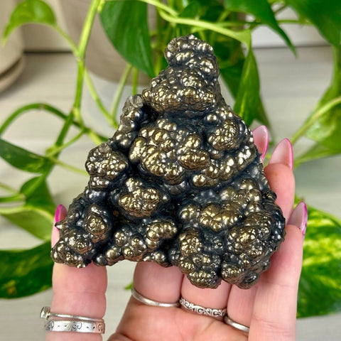 Goethite Specimen A 2 - Kenna's Crystals from TikTok