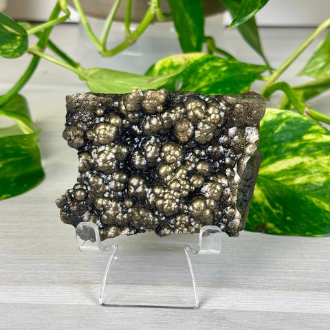 Goethite Specimen D 4 - Kenna's Crystals from TikTok