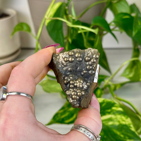 Goethite Specimen E2 30 - Kenna's Crystals from TikTok