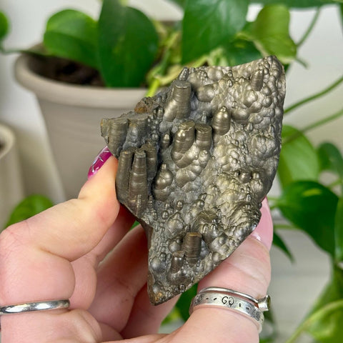 Goethite Specimen Q 16 - Kenna's Crystals from TikTok