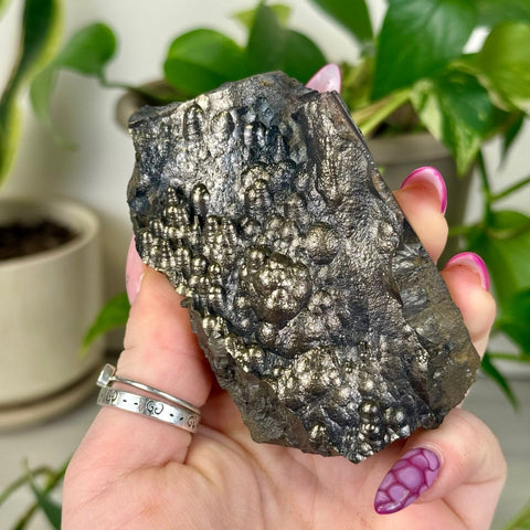 Goethite Specimen U 20 - Kenna's Crystals from TikTok