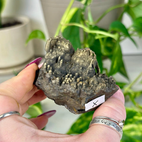 Goethite Specimen X 23 - Kenna's Crystals from TikTok