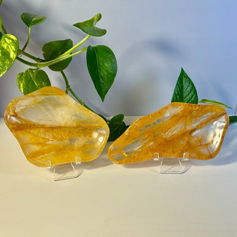 Golden Healer Dish 111 6 - Kenna's Crystals from TikTok