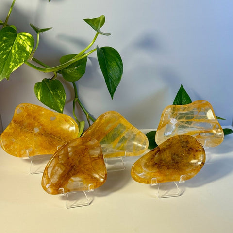 Golden Healer Dish 55 2 - Kenna's Crystals from TikTok