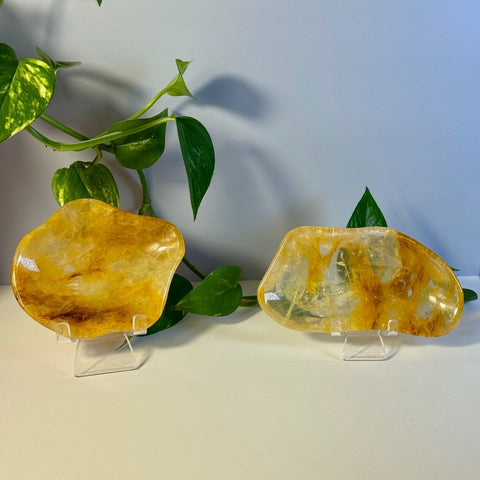 Golden Healer Dish 88 5 - Kenna's Crystals from TikTok