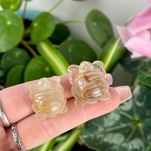 Golden Rutilated Turtle 44 1 - Kenna's Crystals from TikTok