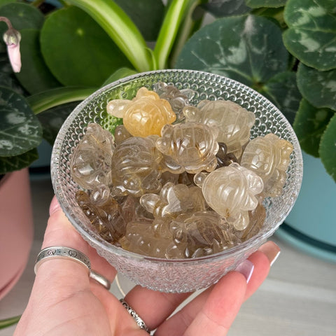 Golden Rutilated Turtle 55 3 - Kenna's Crystals from TikTok