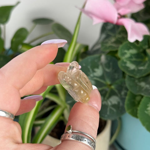 Golden Rutilated Turtle 55 4 - Kenna's Crystals from TikTok