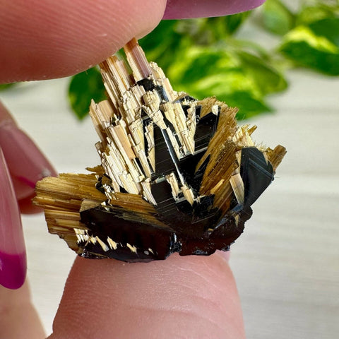 Golden Rutile Spray on Hematite - Rich Matrix C 3 - Kenna's Crystals from TikTok