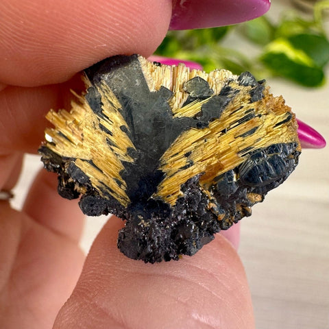 Golden Rutile Spray on Hematite - Rich Matrix D 4 - Kenna's Crystals from TikTok