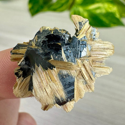 Golden Rutile Spray on Hematite - Rich Matrix F 6 - Kenna's Crystals from TikTok