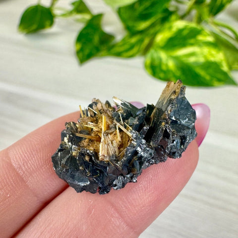 Golden Rutile Spray on Hematite - Rich Matrix H 8 - Kenna's Crystals from TikTok