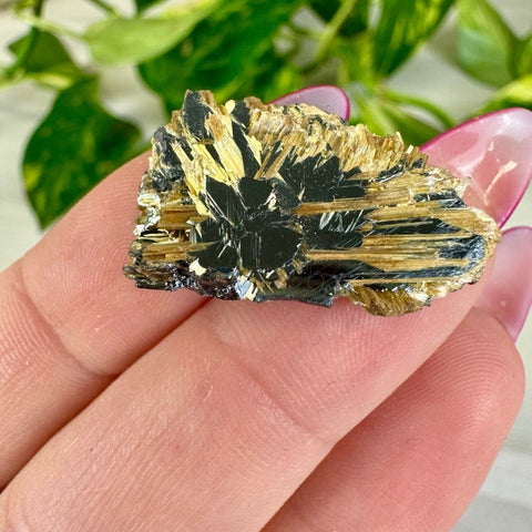 Golden Rutile Spray on Hematite - Rich Matrix J 10 - Kenna's Crystals from TikTok