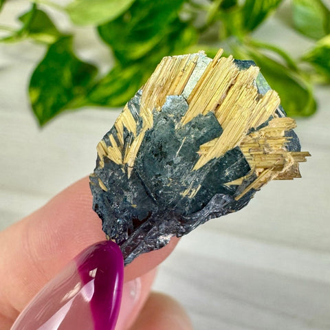Golden Rutile Spray on Hematite - Rich Matrix L 12 - Kenna's Crystals from TikTok