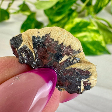 Golden Rutile Spray on Hematite - Rich Matrix M 13 - Kenna's Crystals from TikTok