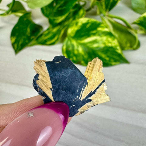 Golden Rutile Spray on Hematite - Rich Matrix N 14 - Kenna's Crystals from TikTok