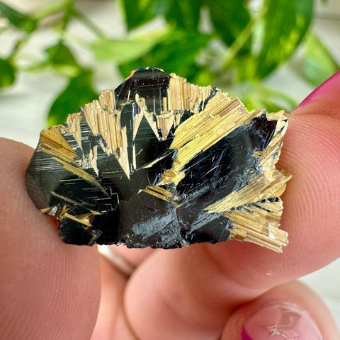 Golden Rutile Spray on Hematite - Rich Matrix O 15 - Kenna's Crystals from TikTok