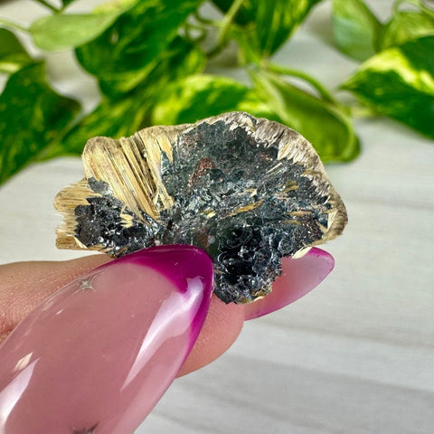 Golden Rutile Spray on Hematite - Rich Matrix P 16 - Kenna's Crystals from TikTok