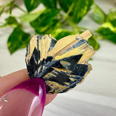 Golden Rutile Spray on Hematite - Rich Matrix Q 17 - Kenna's Crystals from TikTok