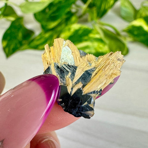 Golden Rutile Spray on Hematite - Rich Matrix R 18 - Kenna's Crystals from TikTok