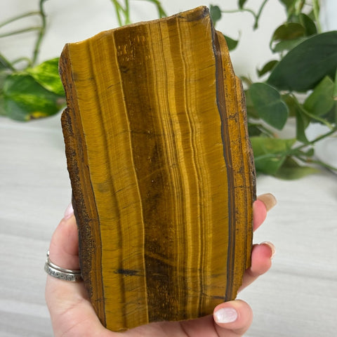 Golden Tiger's Eye Slab 111 7 - Kenna's Crystals from TikTok