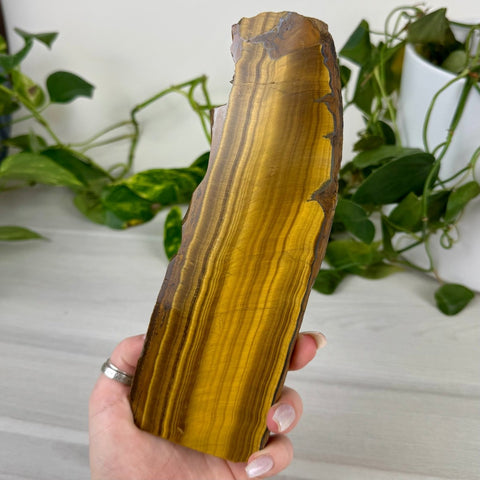 Golden Tiger's Eye Slab 144 9 - Kenna's Crystals from TikTok