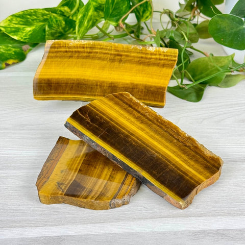 Golden Tiger's Eye Slab 55 3 - Kenna's Crystals from TikTok