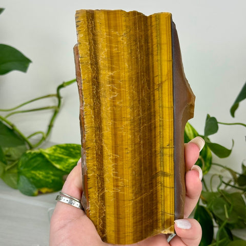 Golden Tiger's Eye Slab 88 5 - Kenna's Crystals from TikTok